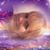 Ruth Ann Spaulding's profile image