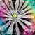 Amanda Rachelle Kelly's profile image