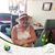 Dorrie Fridlund's profile image