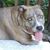 Brandi Layne Crawford's profile image