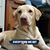 Janie Walters's profile image