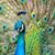 Sharon Mackay's profile image