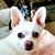 Lisa Kuehne's profile image