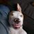 Stephanie Brownlee Smith's profile image
