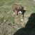 Molly Stites's profile image