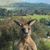 DeDe DeLoney's profile image