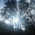 Sara Jane Herr's profile image