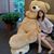 Michelle Lee's profile image