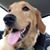 Nancy Gudorf's profile image