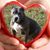 Rich Allen's profile image