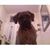 Justin Feingold's profile image