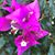 Jacki Lehrbaum Walsh's profile image