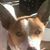 Barry Huffman's profile image