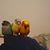 Mark Wharton's profile image