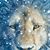 Elise Murray-Cameron's profile image