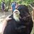 Cynthia Lee Zappolo's profile image