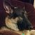 Paul Bingaman's profile image