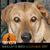 Doreen Orender Brown's profile image