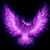 Patrice Mayer Vacca's profile image