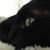 Jennifer Haralson's profile image