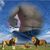 Wahid Zitouni's profile image