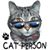 Cheri Hahn DeSalvo's profile image