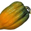 Thomas M.'s profile image