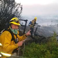 Scott Townley's profile image