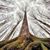 Susan Witter-Shank's profile image
