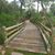 Tammy Rix's profile image