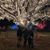 Oshea Erickson's profile image