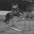 Vanessa Pippo's profile image