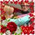 Martha R. Todd's profile image