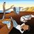 Diane Kidd's profile image