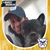 Trisa Fisher's profile image