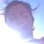 Sunena Sabharwal's profile image