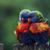 Candace Shipman's profile image