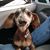 Abigail La Rue's profile image