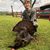 Cody Carnline's profile image