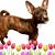 Jo Partelow's profile image