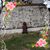 Connie Gauna's profile image