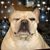 Michelle Wynn Tippets's profile image