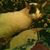Lisa J. Turner's profile image