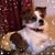 Suzie Cheyney-Dudo's profile image