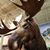Julie A Moore's profile image