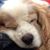 Jorge Rodriguez's profile image
