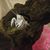 Jennifer Gilchrist's profile image