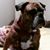 Mary Carroll Malone's profile image