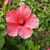 Beth Engdahl's profile image