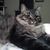 Julie Shump Hanson's profile image